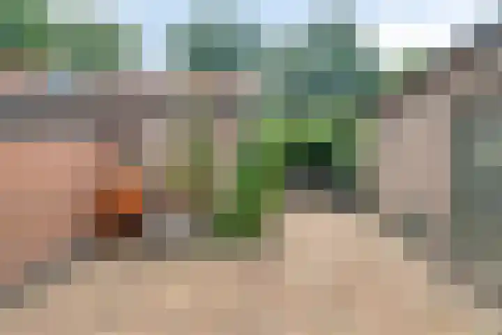 Harderwijkerweg 68 a Nunspeet thumbnail 34