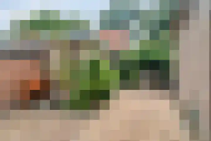 Harderwijkerweg 68 a Nunspeet thumbnail 35