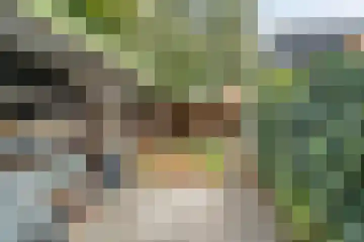 Harderwijkerweg 68 a Nunspeet thumbnail 37
