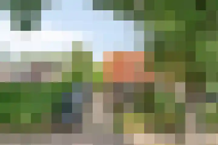 Harderwijkerweg 68 a Nunspeet thumbnail 42
