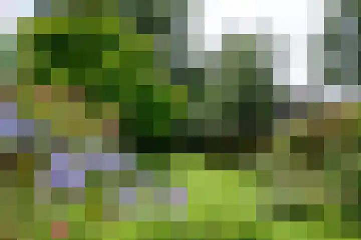 Harderwijkerweg 71 Laag-Soeren thumbnail 31