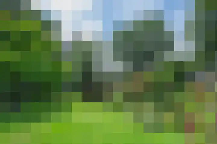 Harderwijkerweg 71 Laag-Soeren thumbnail 32