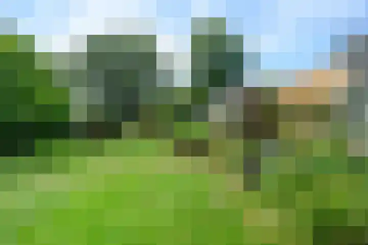 Harderwijkerweg 71 Laag-Soeren thumbnail 37