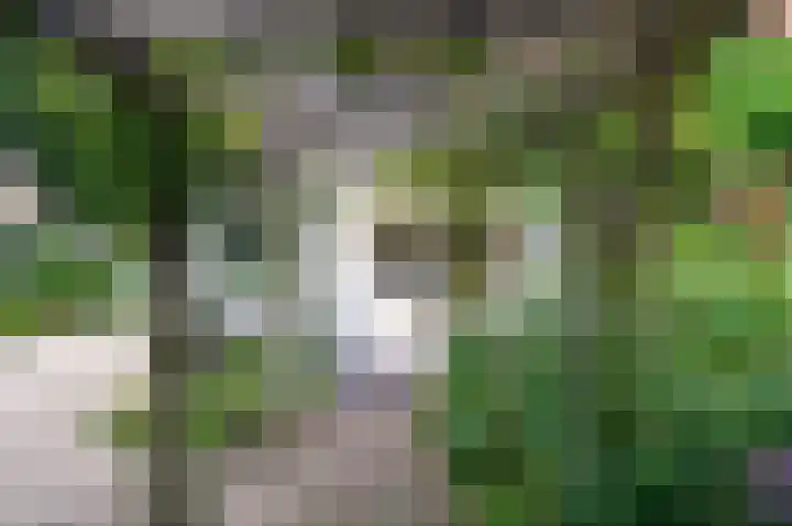 Harderwijkerweg 71 Laag-Soeren thumbnail 41