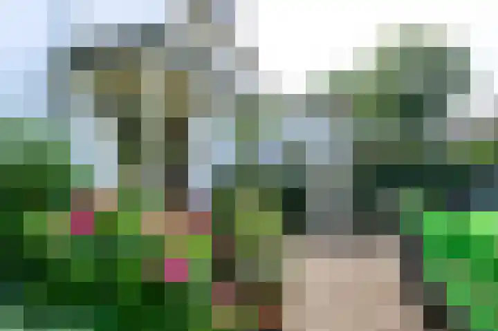 Harderwijkerweg 71 Laag-Soeren thumbnail 5
