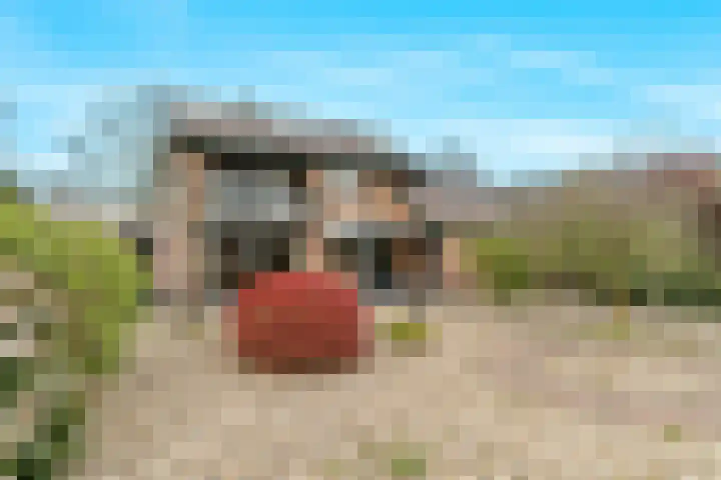 Harderwijkerweg 87 Nunspeet thumbnail 55