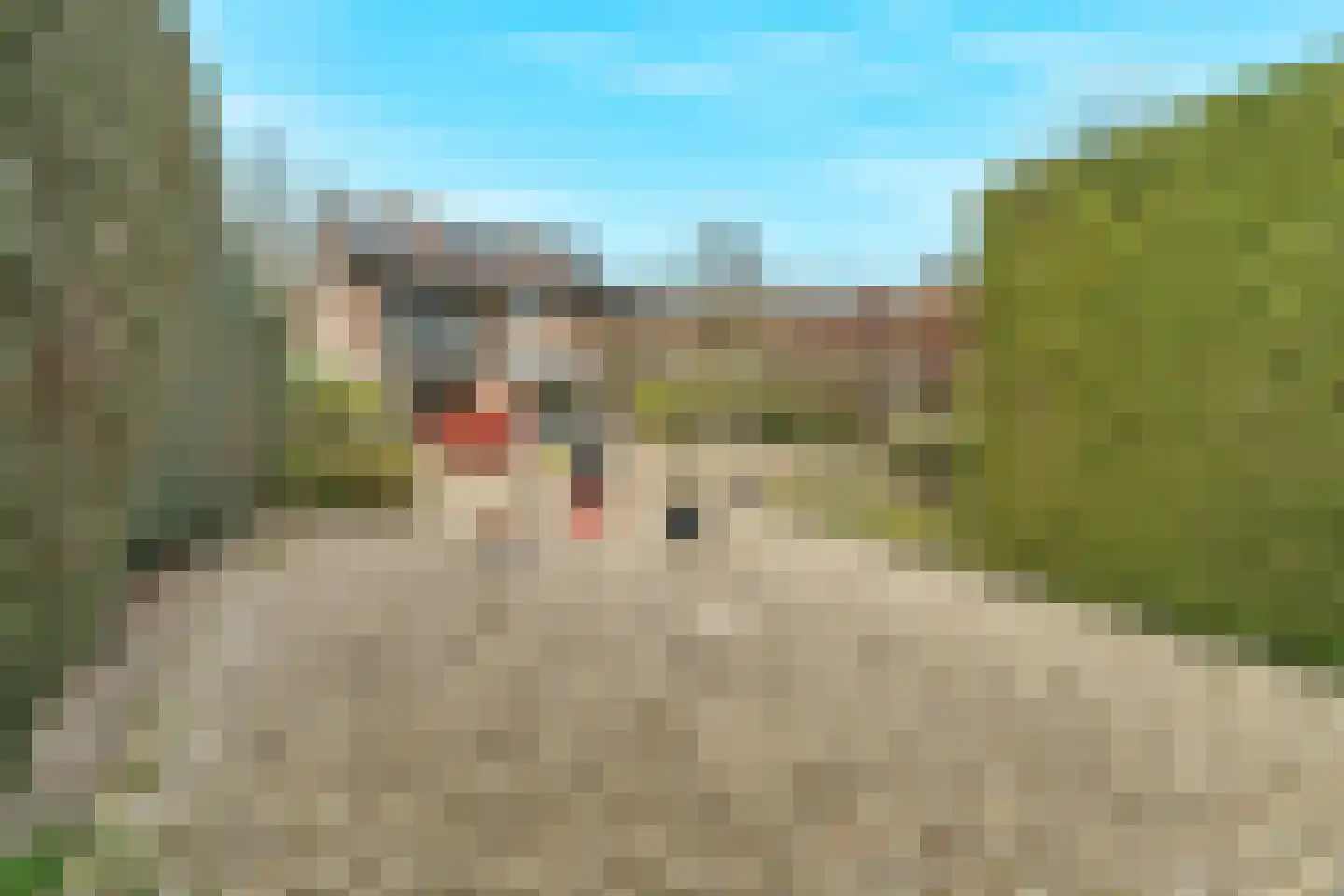 Harderwijkerweg 87 Nunspeet thumbnail 60