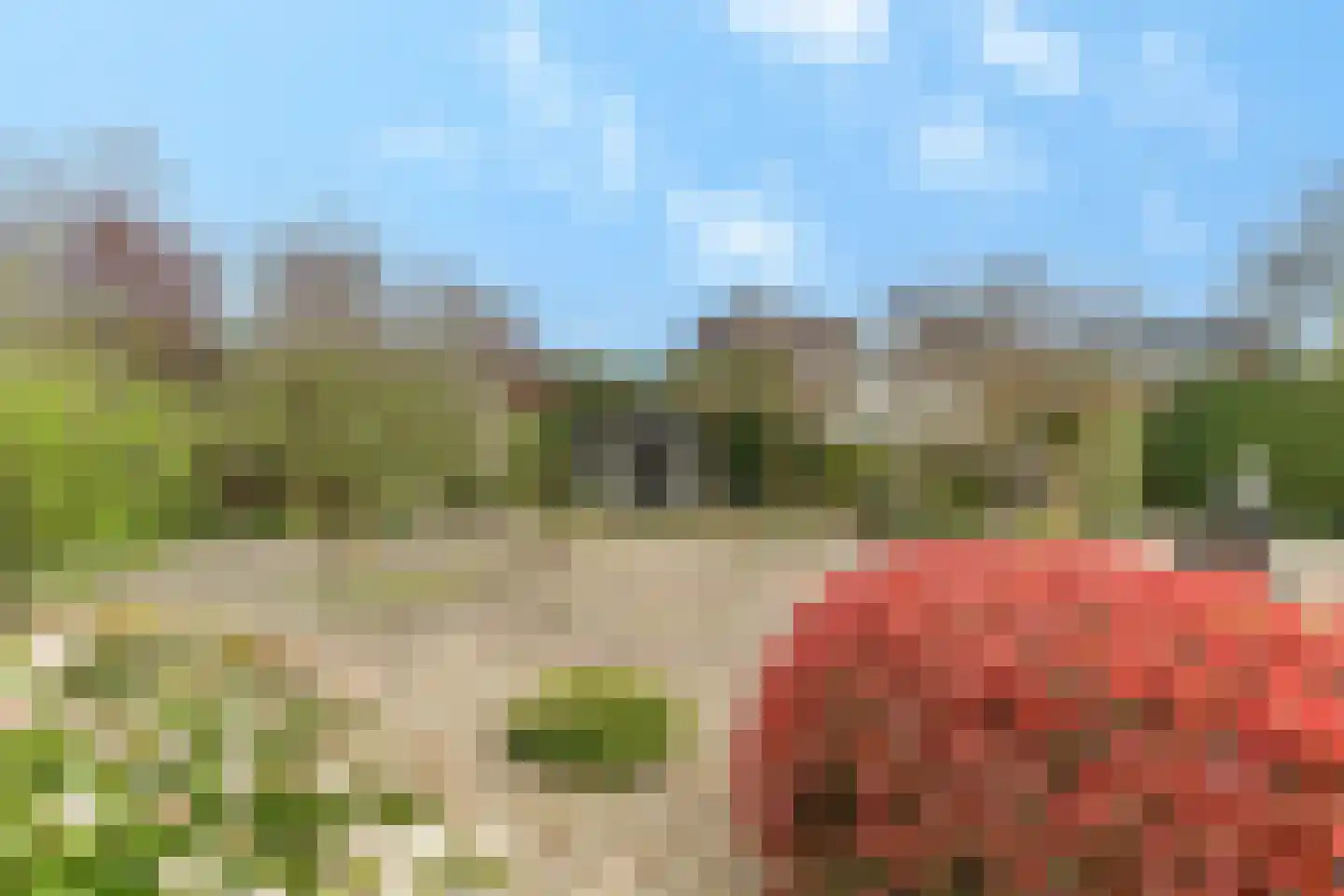 Harderwijkerweg 87 Nunspeet thumbnail 65