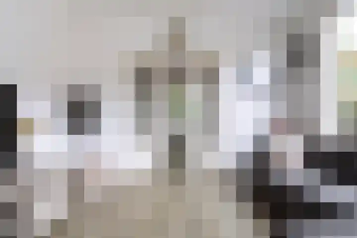Harderwijkerweg 9 Dieren thumbnail 10