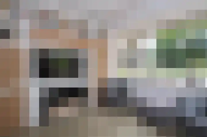 Harderwijkerweg 9 Dieren thumbnail 12