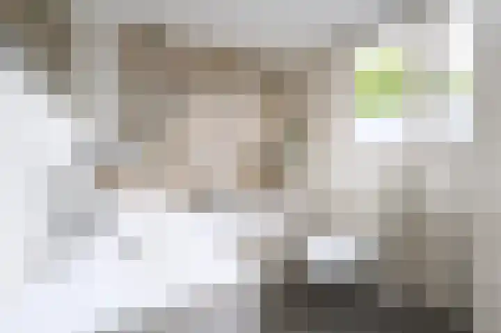 Harderwijkerweg 9 Dieren thumbnail 19