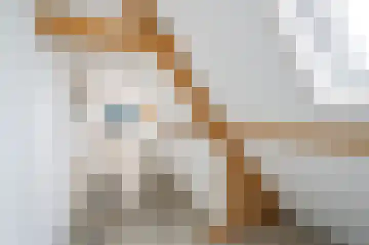 Harderwijkerweg 9 Dieren thumbnail 23