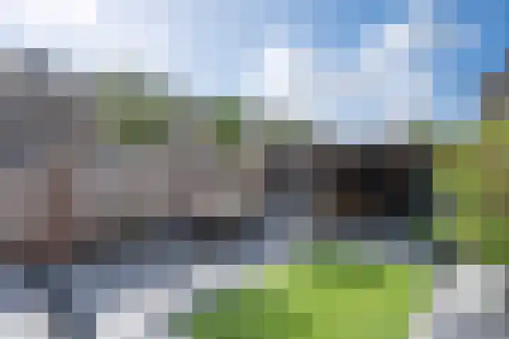 Harderwijkerweg 9 Dieren thumbnail 27