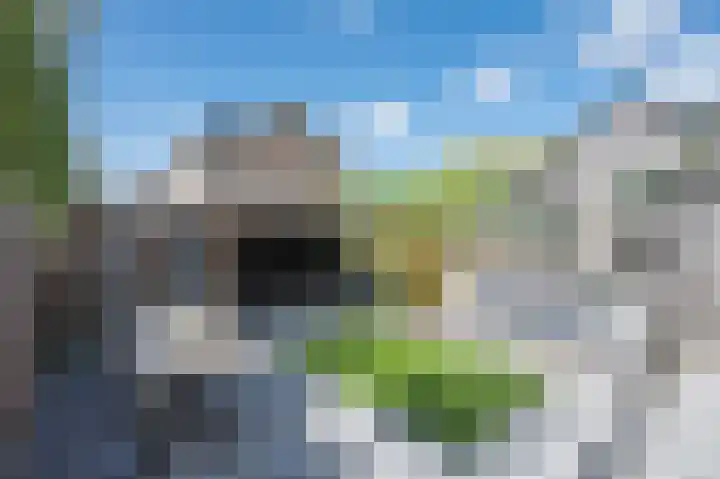 Harderwijkerweg 9 Dieren thumbnail 28