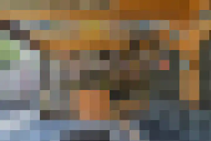Harderwijkerweg 9 Dieren thumbnail 31