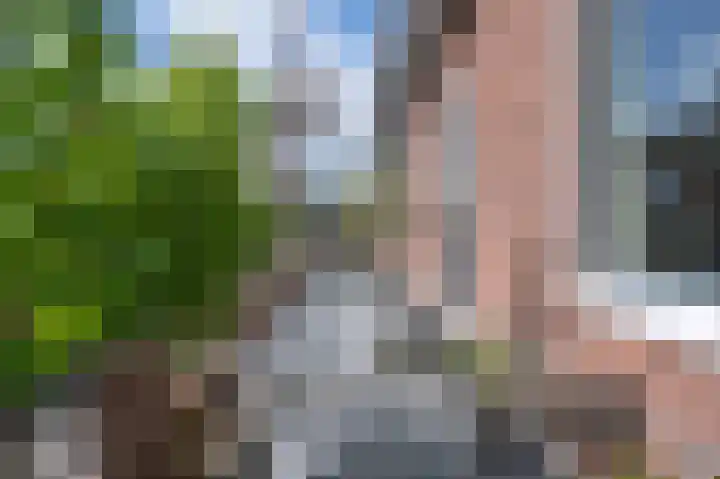 Harderwijkerweg 9 Dieren thumbnail 34