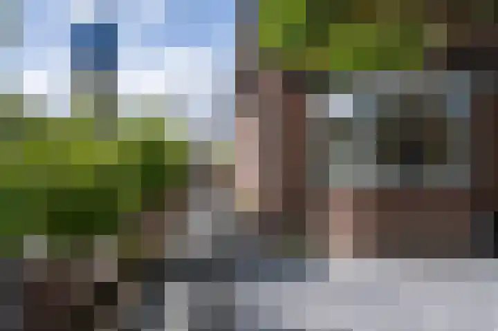 Harderwijkerweg 9 Dieren thumbnail 35