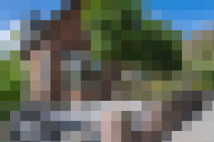 Harderwijkerweg 9 Dieren thumbnail 36