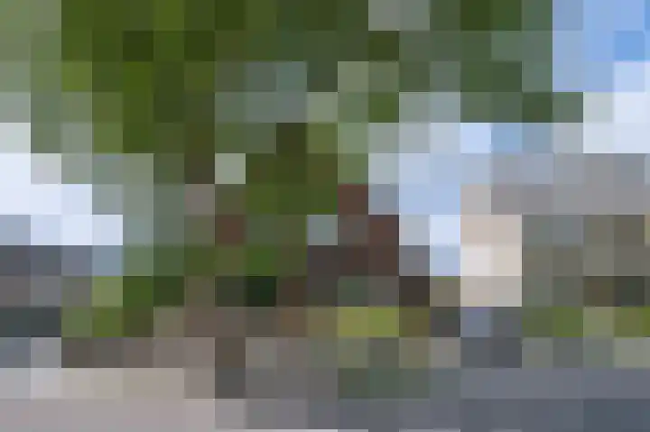 Harderwijkerweg 9 Dieren thumbnail 37