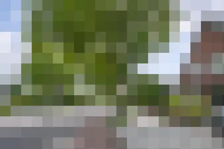 Harderwijkerweg 9 Dieren thumbnail 38