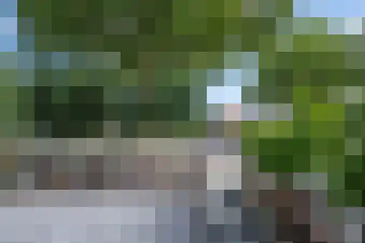 Harderwijkerweg 9 Dieren thumbnail 39