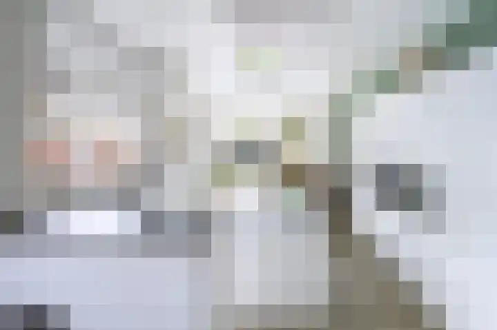 Harderwijkerweg 9 Dieren thumbnail 4