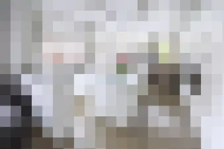 Harderwijkerweg 9 Dieren thumbnail 5