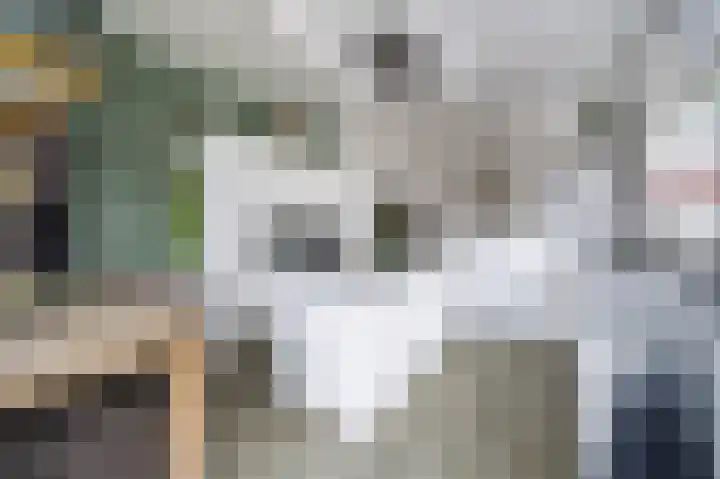 Harderwijkerweg 9 Dieren thumbnail 7