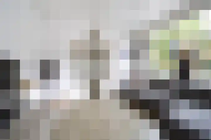 Harderwijkerweg 9 Dieren thumbnail 8