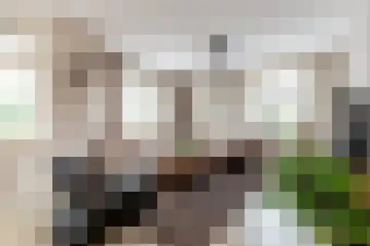 Harderwijkerweg 91 Nunspeet thumbnail 10