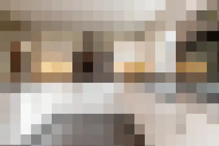 Harderwijkerweg 91 Nunspeet thumbnail 15
