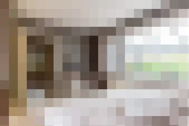 Harderwijkerweg 91 Nunspeet thumbnail 17