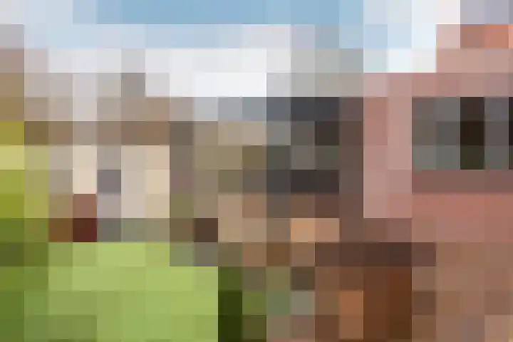Harderwijkerweg 91 Nunspeet thumbnail 33