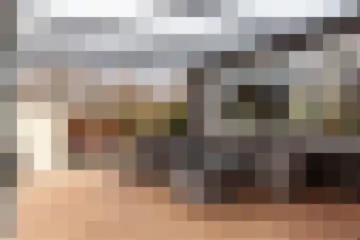 Harderwijkerweg 91 Nunspeet thumbnail 34