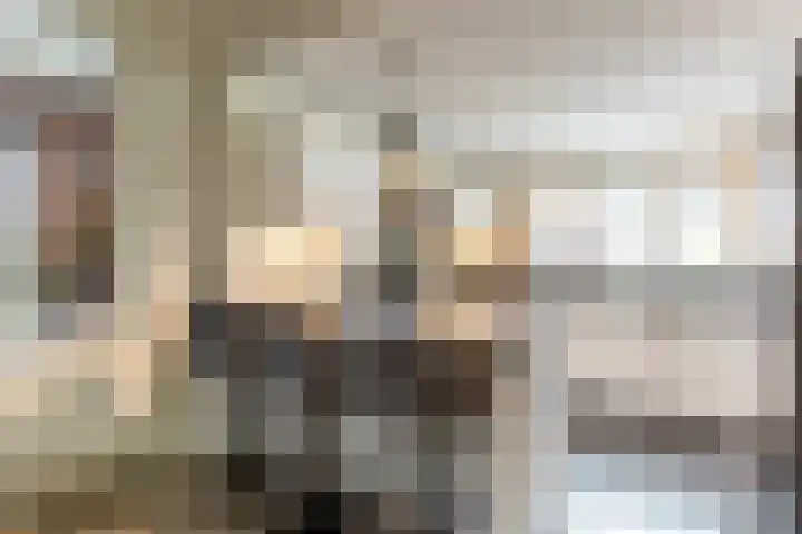 Harderwijkerweg 91 Nunspeet thumbnail 4
