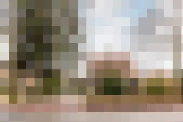 Harderwijkerweg 91 Nunspeet thumbnail 47