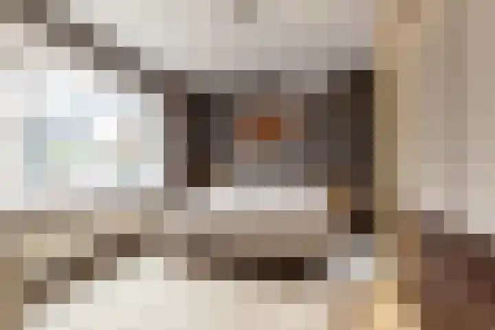 Harderwijkerweg 91 Nunspeet thumbnail 5