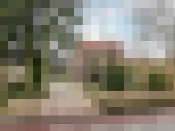 Harderwijkerweg 91 Nunspeet thumbnail 52