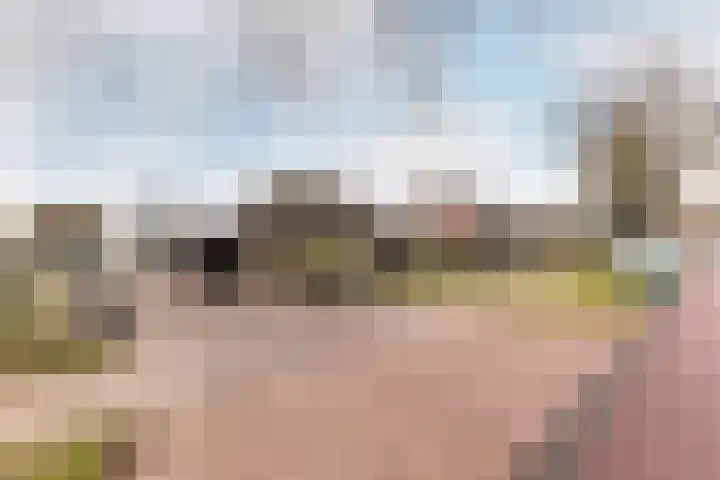 Harderwijkerweg 91 Nunspeet thumbnail 54