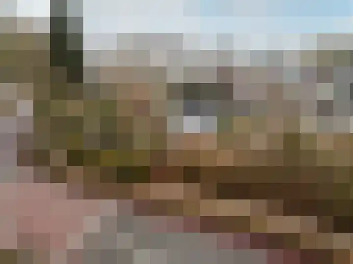 Harderwijkerweg 91 Nunspeet thumbnail 57
