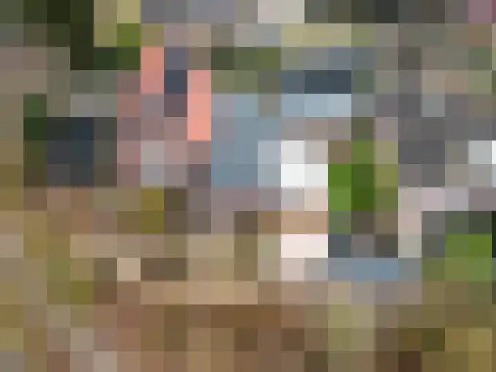 Harderwijkerweg 91 Nunspeet thumbnail 58