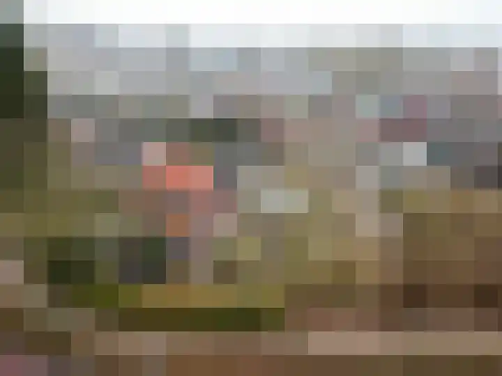 Harderwijkerweg 91 Nunspeet thumbnail 62
