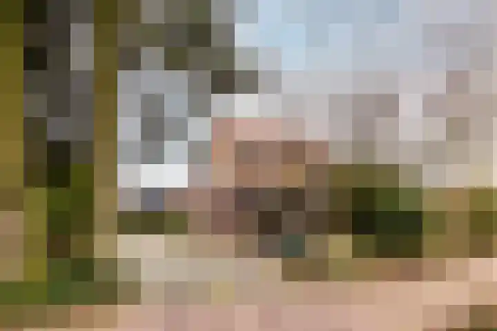 Harderwijkerweg 91 Nunspeet thumbnail 7