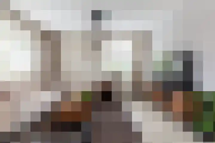 Harderwijkerweg 91 Nunspeet thumbnail 8