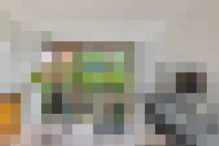 Harderwijkerzand 14 Huizen thumbnail 22