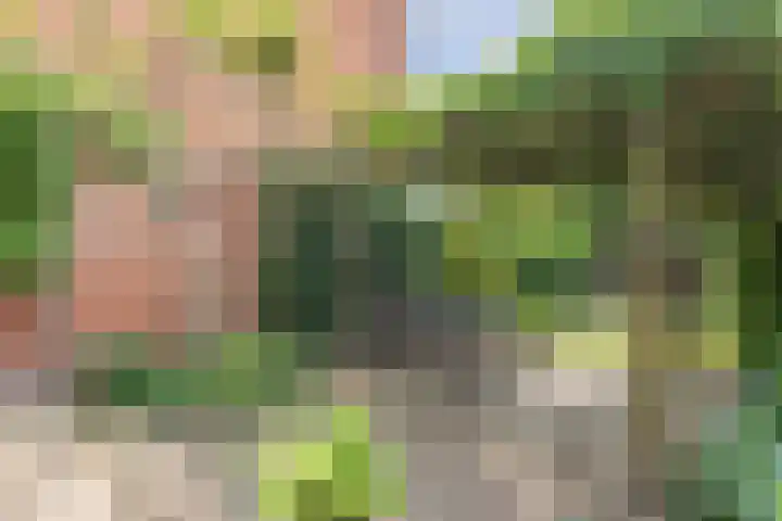 Harderwijkerzand 14 Huizen thumbnail 26
