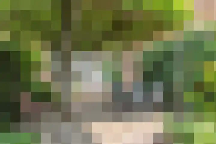 Harderwijkerzand 14 Huizen thumbnail 28