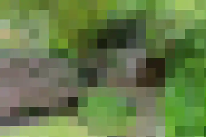 Harderwijkerzand 14 Huizen thumbnail 30