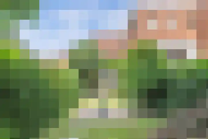 Harderwijkerzand 14 Huizen thumbnail 31
