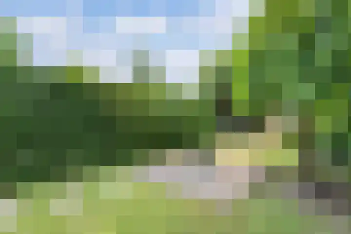 Harderwijkerzand 14 Huizen thumbnail 32